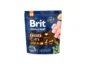 Brit Premium by Nature Senior S/M 1kg