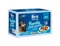 Brit Premium by Nature Cat Delicate Fillets in Gravy Family Plate 1020 g (12x85g)