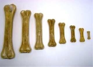 Pamlsok Salač Kosť prírodná 21-22 cm